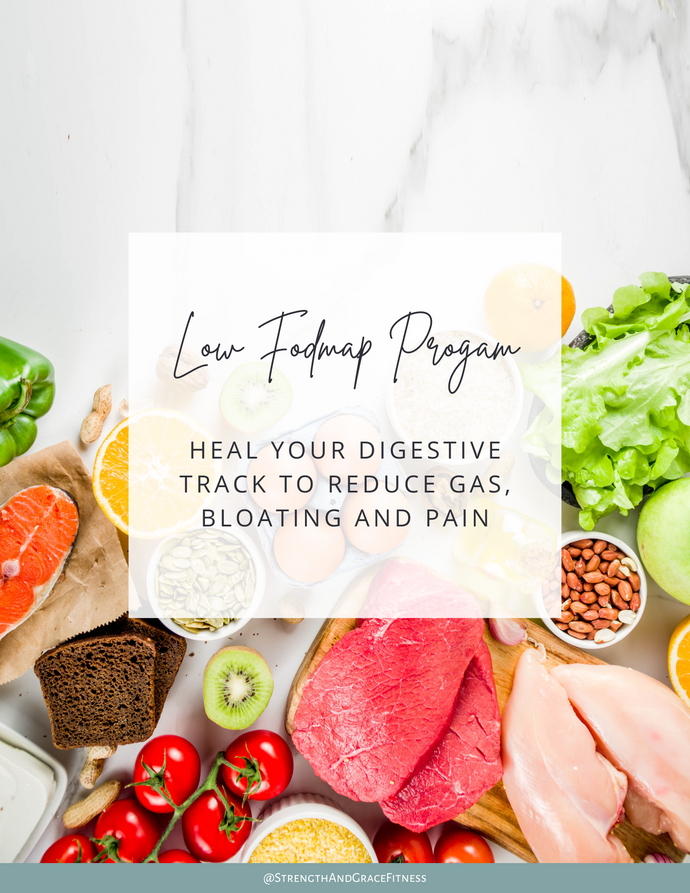 Low FodMap Program